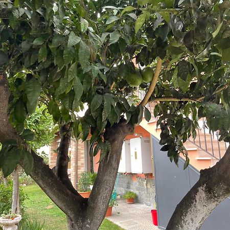 Un Sogno Nel Verde Acilia Εξωτερικό φωτογραφία