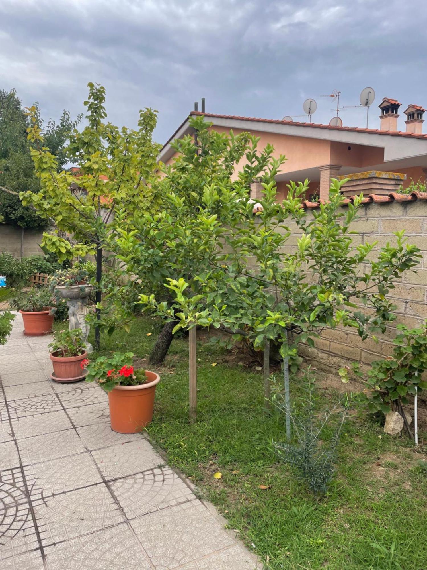 Un Sogno Nel Verde Acilia Εξωτερικό φωτογραφία